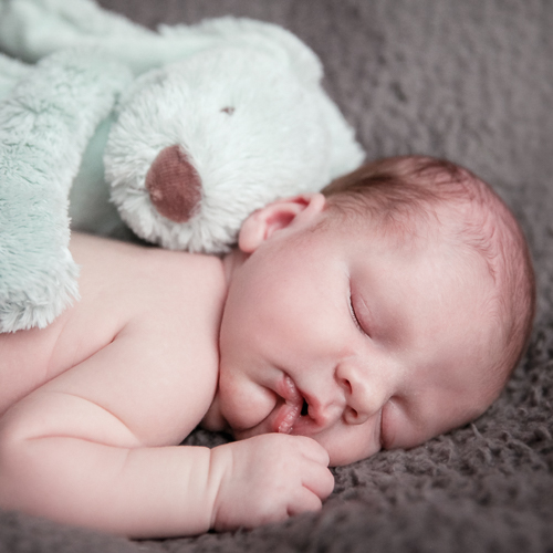 newborn fotograaf emmeloord